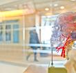 Selective focus photo of artificial human skull